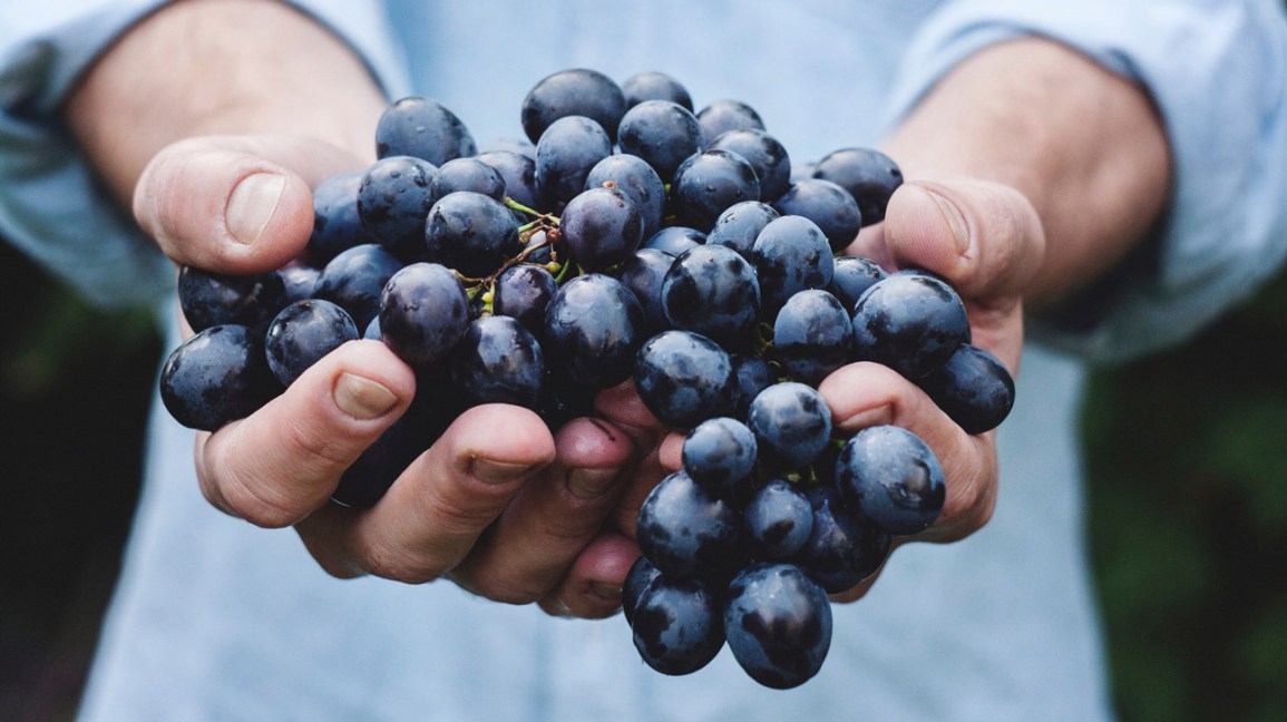 13 mejores alimentos antiinflamatorios 1 13 alimentos más antiinflamatorios que puede comer
