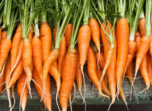 40 consejos para bajar de peso para personas mayores de 40 70 Más de 40 consejos para comprar productos orgánicos