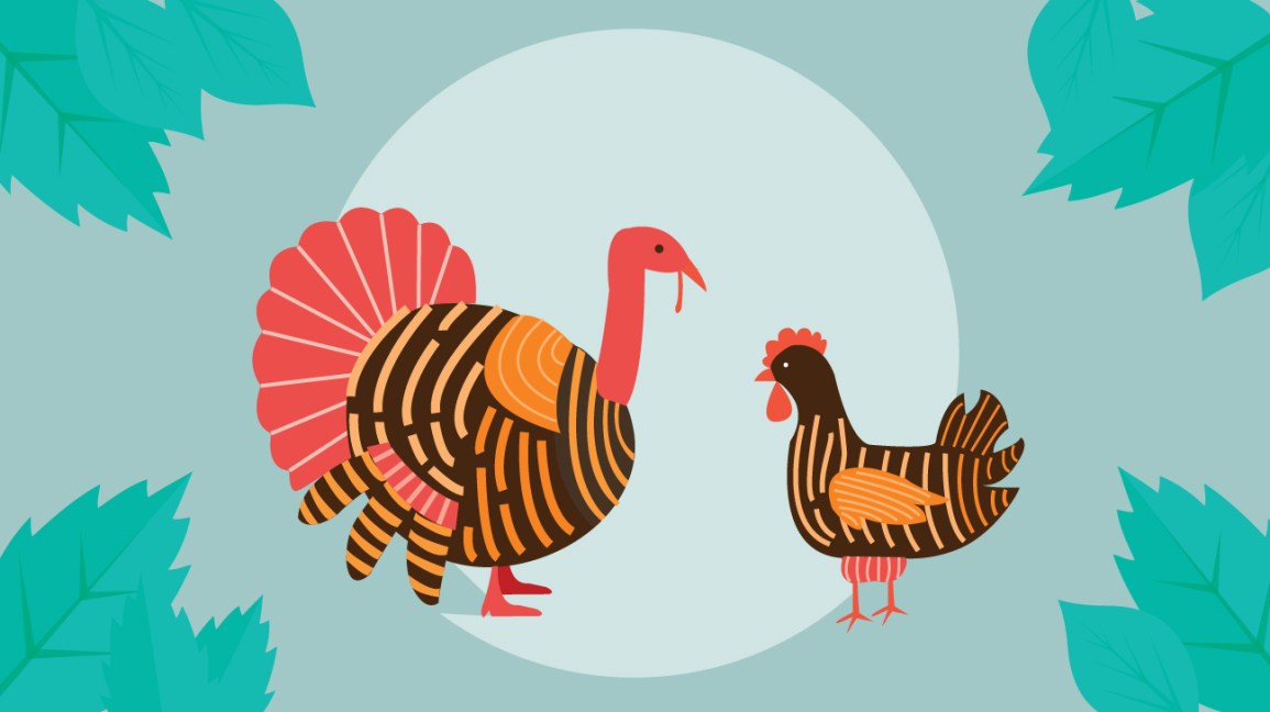 Pavo vs pollo: ¿Quién tiene más proteínas? 1 Pavo vs Pollo