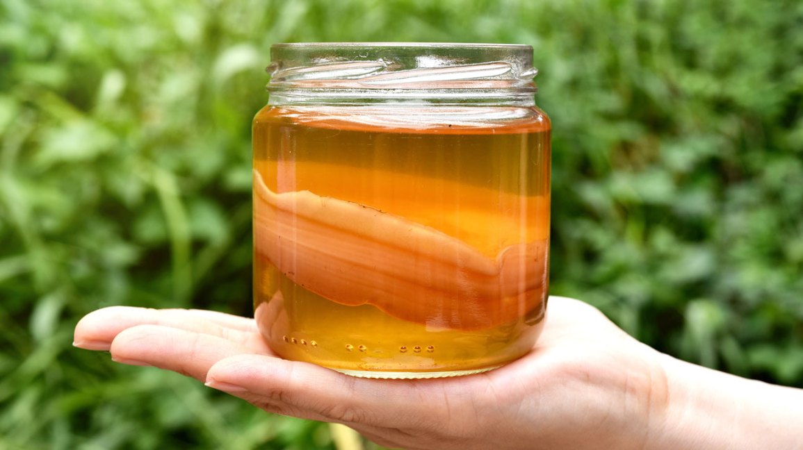 ¿Kombucha contiene alcohol? 1 Contenido de alcohol de kombucha