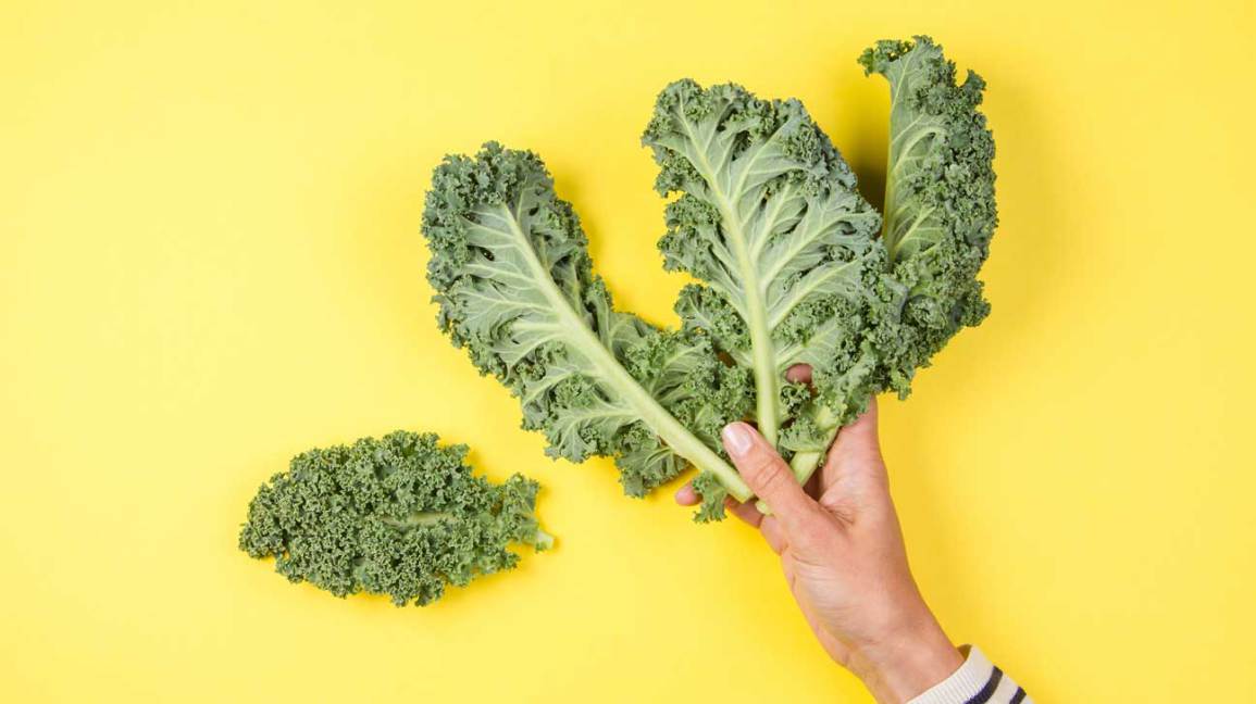 11 alimentos más nutritivos del mundo 1 11 alimentos más nutritivos del mundo