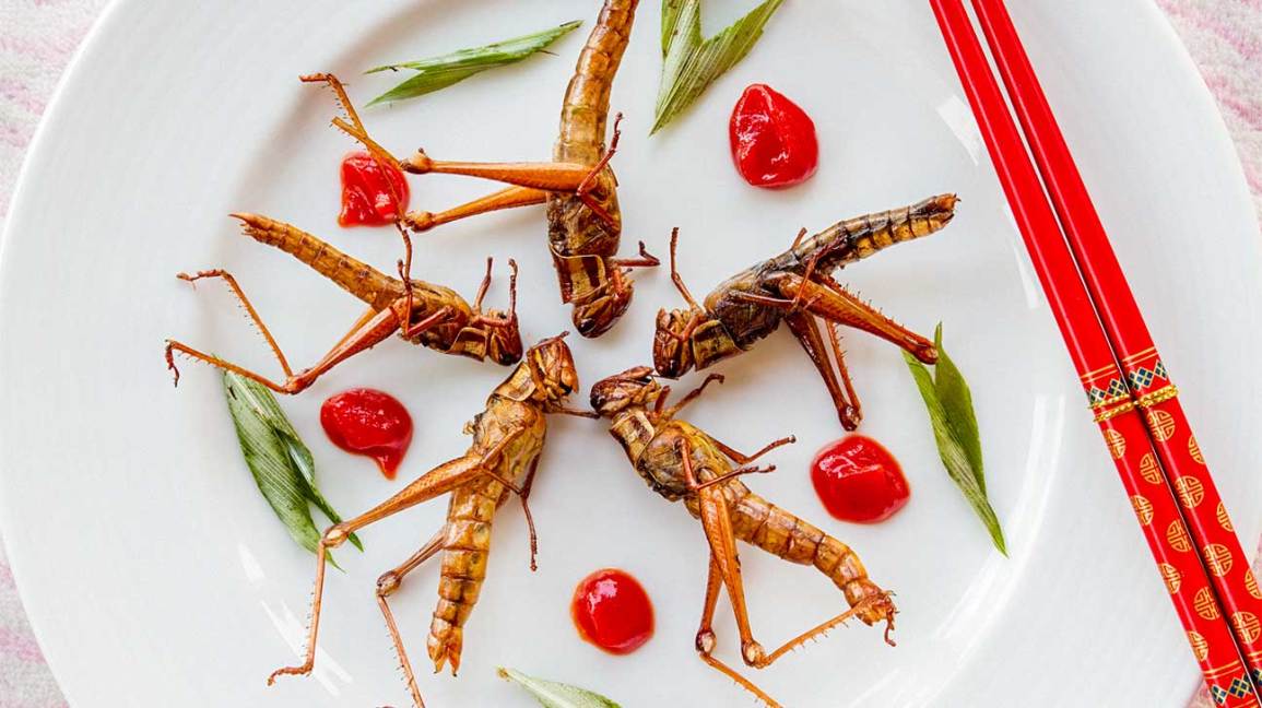 Por qué comer insectos es la próxima tendencia de superalimentos 1 Por qué comer insectos es la próxima tendencia de superalimentos