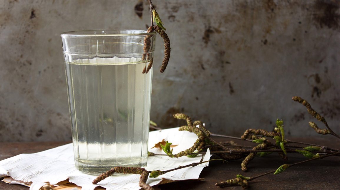 ¿Agua de abedul? 1 Vaso de agua de abedul