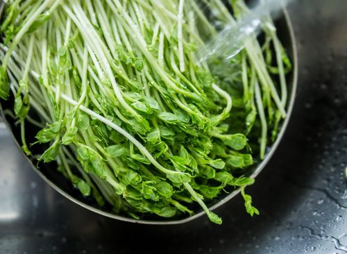 Consejos eficaces para perder peso que debe probar 46 Lavar las verduras