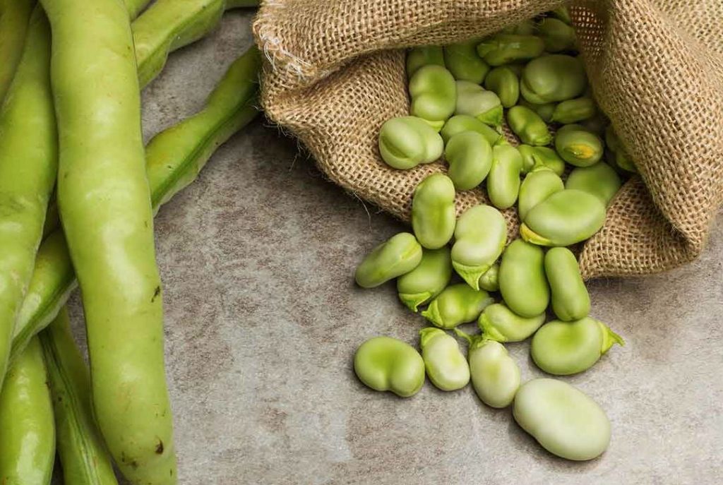 Frijoles malos Frijoles malos