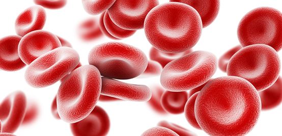 Una dieta rica en hierro combate la anemia