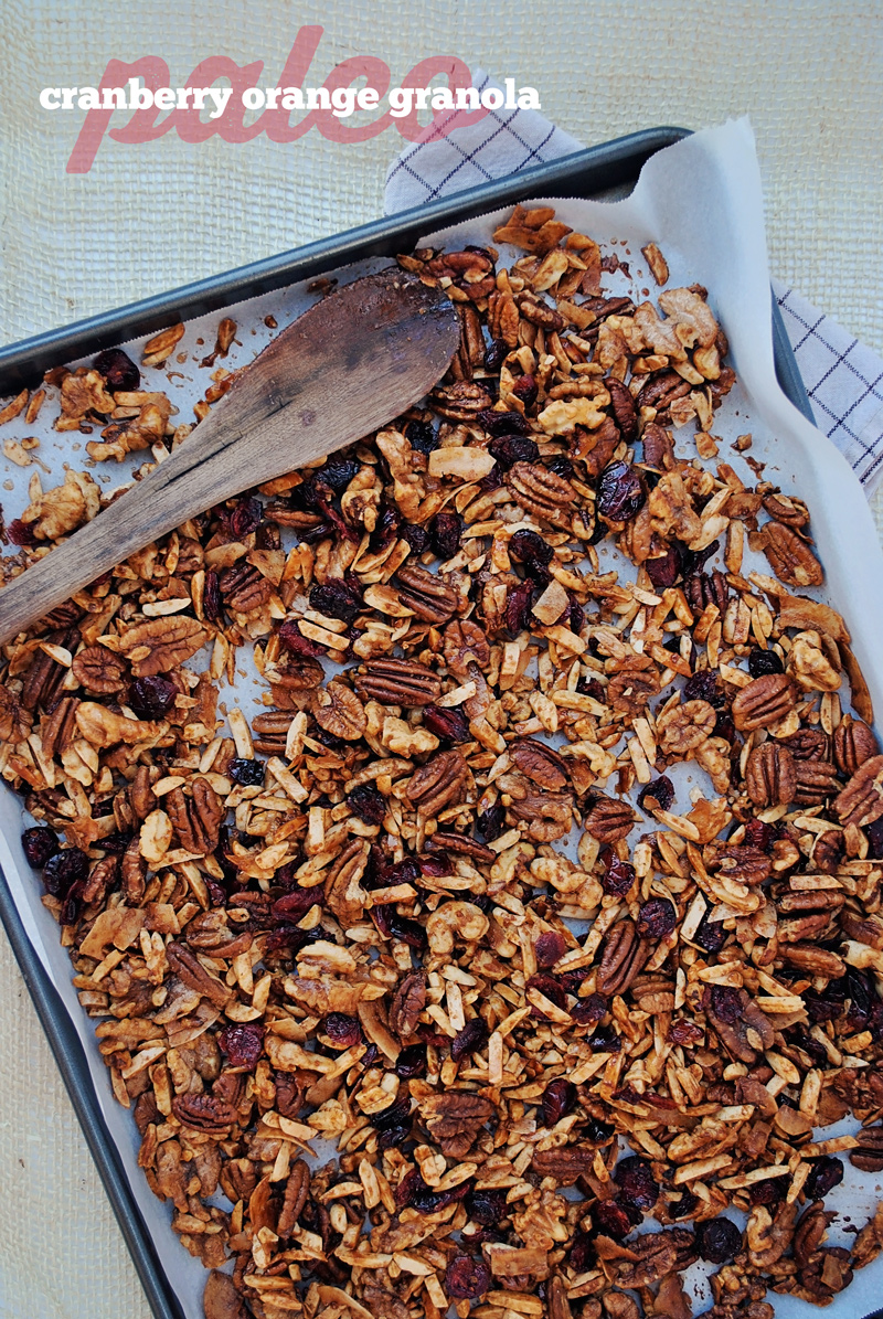 Receta: Paleo Muesli sin naranja y arándano 1 Fotos de granola antigua