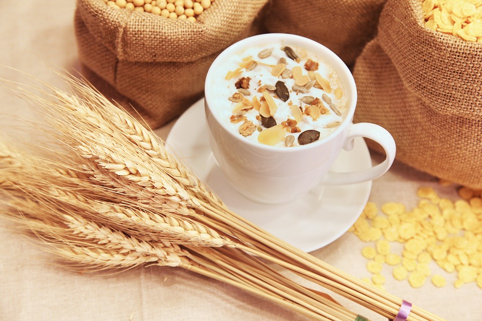 Avena También se puede añadir avena al yogur o la leche para dar un toque de color a nuestros postres y snacks.