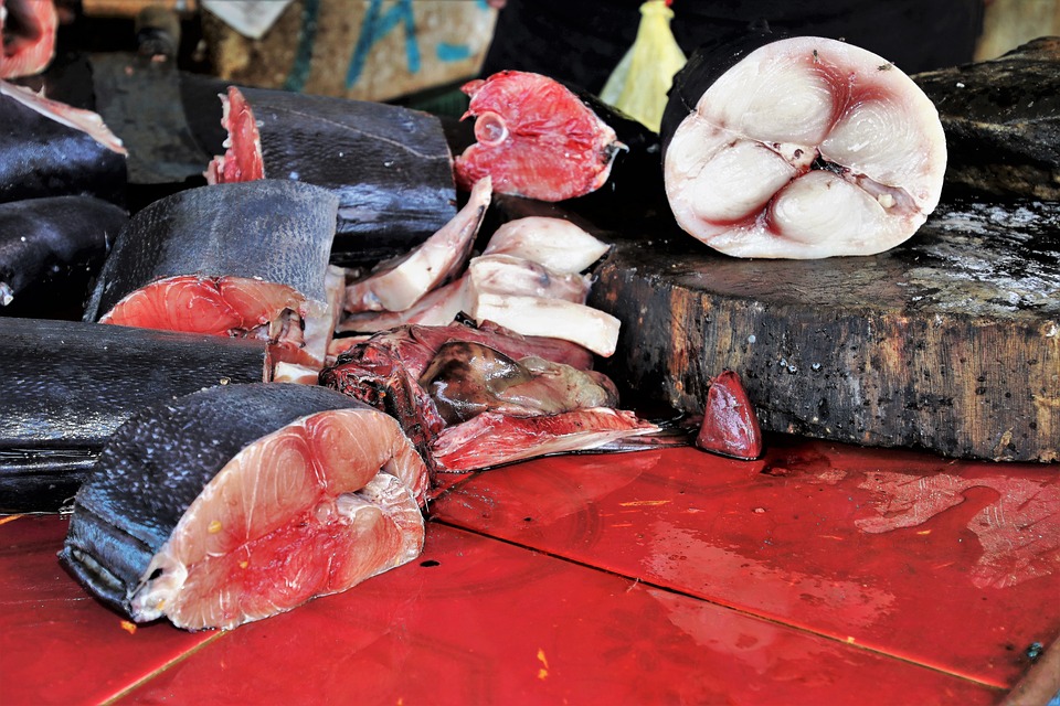 pescado El pescado es la mejor fuente de proteínas y una buena opción para los vegetarianos que comen pescado.