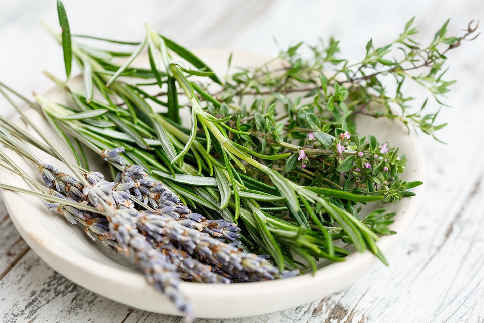 Tomillo, lavanda y romero Los materiales medicinales son siempre buenos sustitutos de las medicinas naturales.