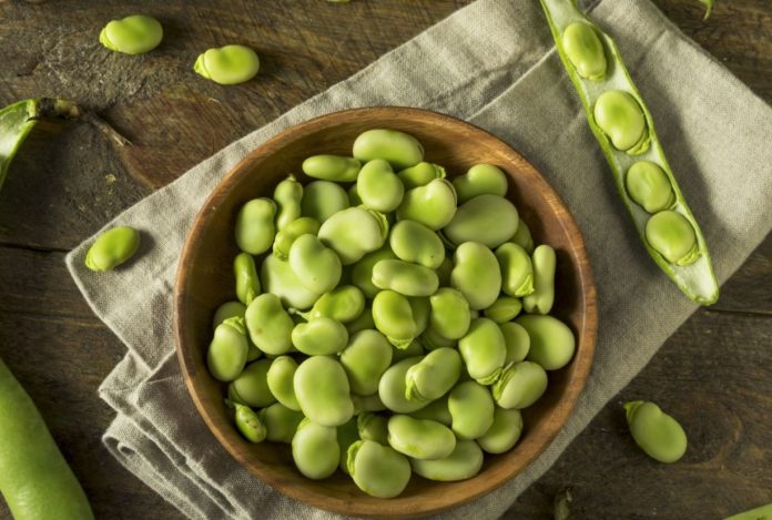 Beneficios de los frijoles frescos Beneficios de los frijoles frescos