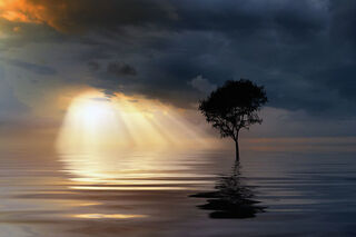 carlosgutaymartinez / flickr carlosgutaymartinez / flickr