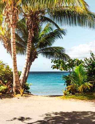 Matthew Broder / Unsplash Matthew Broder / Unsplash