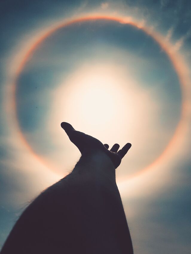 Jonas Ferlín / Pexels Jonas Ferlín / Pexels