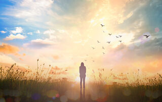 Jacob_09 / Shutterstock Jacob_09 / Shutterstock