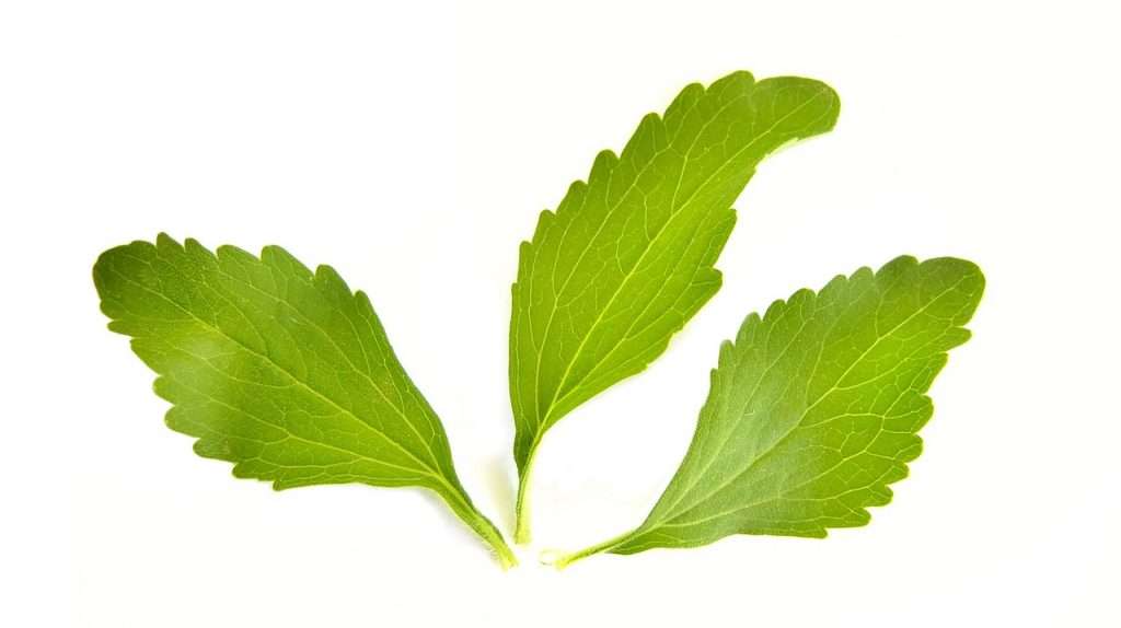 estevia
