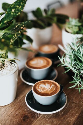 Nathan Dumlao / Unsplash Nathan Dumlao / Unsplash