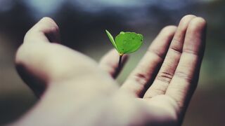 nombre_gravedad / Unsplash nombre_gravedad / Unsplash