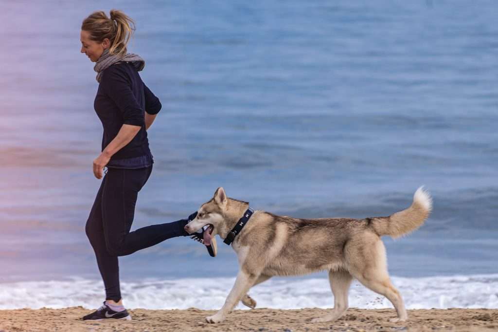 caminar con el perro