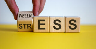Dmitri Demidovich/Shutterstock Dmitri Demidovich/Shutterstock