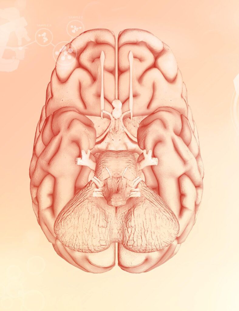 Cerebro humano, concepto de investigación nerviosa: textura electrónica muy detallada, ilustración médica en 3D